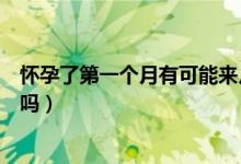 懷孕了第一個(gè)月有可能來(lái)月經(jīng)嗎（懷孕了第一個(gè)月會(huì)來(lái)月經(jīng)嗎）