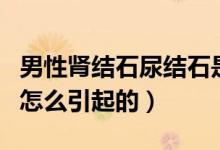男性腎結石尿結石是怎么引起的（男性腎結石怎么引起的）