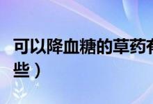 可以降血糖的草藥有哪些（降血糖的草藥有哪些）