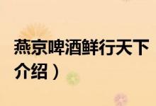 燕京啤酒鮮行天下（關(guān)于燕京啤酒鮮行天下的介紹）