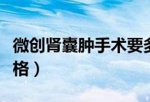 微創(chuàng)腎囊腫手術要多少錢（腎囊腫微創(chuàng)手術價格）