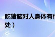 吃豬腦對人身體有什么好處（吃豬腦有什么好處）