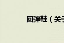 回彈鞋（關于回彈鞋的介紹）