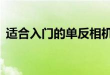 適合入門的單反相機(jī)（6款入門級(jí)單反推薦）