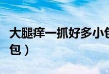 大腿癢一抓好多小包包（大腿癢一抓好多小包包）