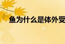 魚為什么是體外受精（什么是體外受精）