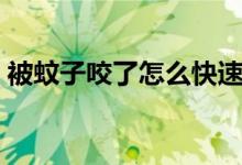 被蚊子咬了怎么快速消掉（為什么招蚊子咬）