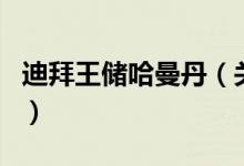 迪拜王儲哈曼丹（關于迪拜王儲哈曼丹的介紹）