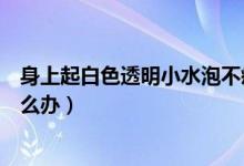 身上起白色透明小水泡不疼不癢（身上起白色透明小水泡怎么辦）
