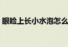 眼瞼上長小水泡怎么回事（眼瞼上長小水泡）