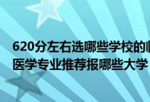 620分左右選哪些學校的臨床專業(yè)（2022高考440分學臨床醫(yī)學專業(yè)推薦報哪些大學）