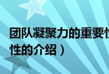 團隊凝聚力的重要性（關于團隊凝聚力的重要性的介紹）