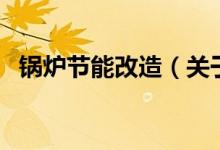 鍋爐節(jié)能改造（關(guān)于鍋爐節(jié)能改造的介紹）