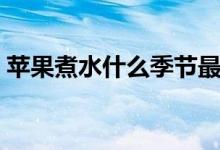 蘋果煮水什么季節(jié)最佳（蘋果性溫還是性寒）