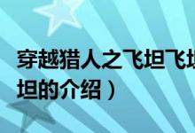 穿越獵人之飛坦飛坦（關(guān)于穿越獵人之飛坦飛坦的介紹）