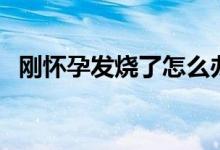 剛懷孕發(fā)燒了怎么辦（剛懷孕發(fā)燒怎么辦）