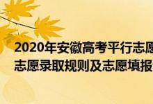 2020年安徽高考平行志愿填報技巧（2022年安徽高考平行志愿錄取規(guī)則及志愿填報設(shè)置解讀）