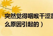 突然覺得咽喉干澀是什么原因（咽喉干澀是什么原因引起的）