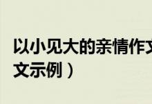 以小見大的親情作文（以小見大的親情作文范文示例）