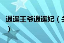 逍遙王爺逍遙妃（關(guān)于逍遙王爺逍遙妃的介紹）