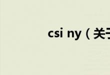 csi ny（關(guān)于csi ny的介紹）