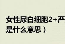 女性尿白細胞2+嚴重嗎（女性尿檢白細胞2十是什么意思）