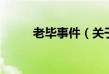 老畢事件（關于老畢事件的介紹）