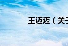 王邁邁（關于王邁邁的介紹）