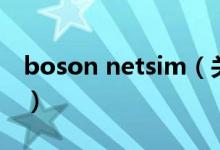 boson netsim（關(guān)于boson netsim的介紹）