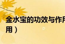 金水寶的功效與作用（金水寶有什么功效與作用）