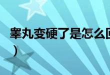 睪丸變硬了是怎么回事（睪丸變硬是什么原因）