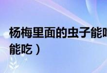 楊梅里面的蟲(chóng)子能吃嗎（楊梅里面的蟲(chóng)子能不能吃）