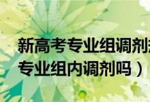 新高考專業(yè)組調劑規(guī)則（2022高考調劑是在專業(yè)組內調劑嗎）
