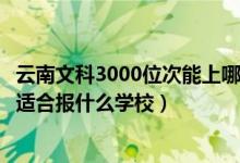 云南文科3000位次能上哪些大學（云南高考位次60000左右適合報什么學校）