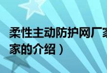 柔性主動防護網廠家（關于柔性主動防護網廠家的介紹）