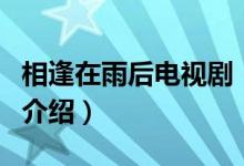 相逢在雨后電視劇（關(guān)于相逢在雨后電視劇的介紹）
