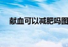 獻(xiàn)血可以減肥嗎圖片（獻(xiàn)血可以減肥嗎）
