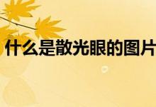 什么是散光眼的圖片示意圖（什么是散光眼）