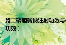 胞二磷膽堿鈉注射功效與作用（胞二磷膽堿注謝液的作用與功效）