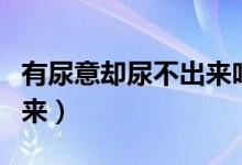 有尿意卻尿不出來吃什么藥（有尿意卻尿不出來）
