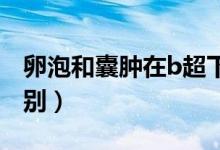 卵泡和囊腫在b超下的區(qū)別（卵泡和囊腫的區(qū)別）