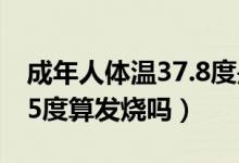 成年人體溫37.8度是發(fā)燒嗎（成年人體溫37.5度算發(fā)燒嗎）