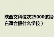 陜西文科位次25000該報什么學(xué)校（陜西高考位次20000左右適合報什么學(xué)校）