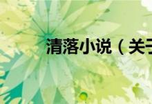 清落小說（關(guān)于清落小說的介紹）