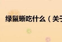 綠鬣蜥吃什么（關于綠鬣蜥吃什么的介紹）