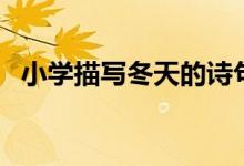 小學(xué)描寫冬天的詩句（哪些詩句描寫冬天）