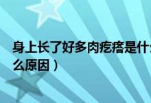 身上長(zhǎng)了好多肉疙瘩是什么原因（身上長(zhǎng)了很多肉疙瘩是什么原因）