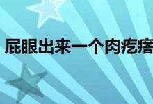 屁眼出來一個(gè)肉疙瘩（屁眼出來一個(gè)肉疙瘩）