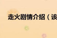 走火劇情介紹（該劇是什么時候播出的）