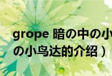 grope 暗の中の小鳥達(dá)（關(guān)于grope 暗の中の小鳥達(dá)的介紹）